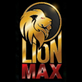 Lionmax in Allapattah - MIAMI, FL Energy Services