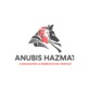 Anubis Hazmat in Dunedin, FL Business Services