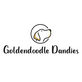 Goldendoodle Dandies in Broken Arrow, OK Dogs