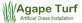 Agape Turf in Glendale, AZ