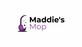 Maddie’s Mop in Harrisburg, PA House Cleaning & Maid Service