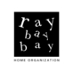 Ray Bay Bay Home Organizing in Magnolia - Seattle, WA Organizing Products & Services