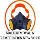 Mold Removal & Remediation New York - Bronx in Bronx, NY House Cleaning Equipment & Supplies