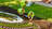 Arvada Landscaping Pros in Westminster, CO