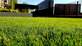 Antelope Artificial Grass in Antelope, CA Lawn & Garden Services