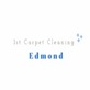 1st Carpet Cleaning Edmond in Edmond, OK Business Services