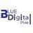 BLUEDigtalPixel in Beverly Hills, CA