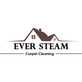 Ever Steam Carpet in Denver, CO Carpet Rug & Upholstery Cleaners