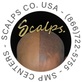 SCALPS | Scalp Micropigmentation Centers in Manalapan, NJ Beauty Salons