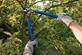Grind Tree Service in East Lansing, MI Lawn & Tree Service