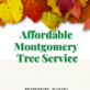 Affordable Montgomery Tree Service in Montgomery, AL Tree Service Equipment