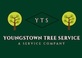 Youngstown Tree Service in Ysu - Youngstown, OH Lawn & Tree Service