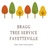 Bragg Tree Service in Fayetteville, NC