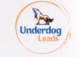 Underdog Leads in Helotes, TX Marketing Services