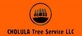 Cholula Tree Service in Freehold, NJ Lawn & Tree Service