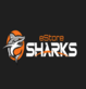 eStore Sharks in League City, TX Marketing Services