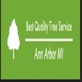 Pro Tree Service Houston TX in Greater Heights - Houston, TX Lawn & Tree Service