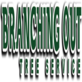 Tree Cutting & Trimming Hauppauge in Hauppauge, NY Tree Service Equipment