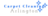 Carpet Cleaning Arlington in Arlington, WA