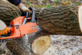 Ridley Tree Service Pros in Ridley Park, PA Tree Service Equipment