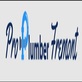 Pro Plumber Fremont in Centerville - Fremont, CA Plumbers - Information & Referral Services