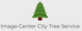Image Center City Tree Service in Rochester, NY Tree & Shrub Transplanting & Removal