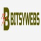 Bitsy Webs in Lovelock, NV Marketing Services