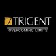 Trigent Software in Southborough, MA Computers Electronics