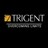 Trigent Software in Southborough, MA