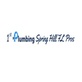 1st Plumbing Spring Hill FL Pros in Spring Hill, FL
