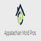 Appalachian Mold Pros in Johnson City, TN Real Estate Inspectors