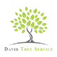 David Tree Service in Manassas, VA Lawn & Tree Service