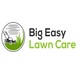 Big Easy Lawn Care in East Riverside - New Orleans, LA Lawn & Tree Service