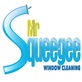 Mr Squeegee Window Cleaning in Fenton, MI