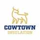 Cowtown Insulation in Southside - Fort Worth, TX Insulation Contractors