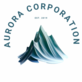 Aurora in Minneapolis, MN Information Technology Services