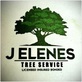 J Elenes Tree Service in Central - Fresno, CA Lawn & Tree Service