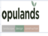 Opulands Landscape Design and Construction in Campbell, CA