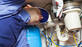 Water Garden Plumbing in Saint Charles, IL Plumbers - Information & Referral Services