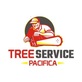 Tree Service Pacifica in Pacifica, CA Tree Service Equipment