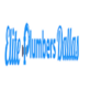 Elite Plumbers Dallas in Near East - Dallas, TX Plumbing & Sewer Repair