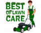 Best of Lawn Care in Lees Summit, MO Landscaping