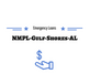 Nmpl-Gulf-Shores-AL in Gulf Shores, AL Financial Services