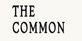 The Common in Bay Ridge - Brooklyn, NY