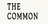 The Common in Bay Ridge - Brooklyn, NY