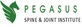 Pegasus Spine & Joint Insitute in Lake Highlands - Dallas, TX Physicians & Surgeons Pain Management
