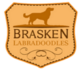 Brasken Labradoodles in Atascadero, CA