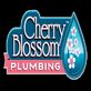 Cherry Blossom Plumbing in Bluemont - Arlington, VA Plumbers - Information & Referral Services