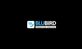 BluBird Marketing Services in Schaumburg, IL Marketing & Sales Consulting
