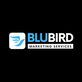 BLUBIRD Marketing Services in Schaumburg, IL Web Libraries & Internet Directory Services